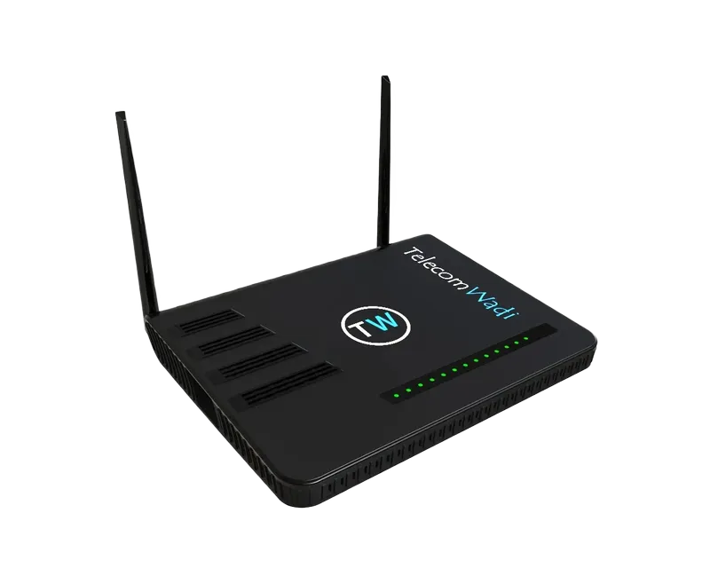 CPE ONT Routers